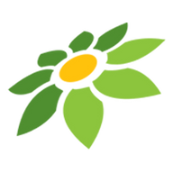 APK SKIN ML